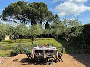 Back patio and garden