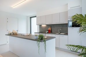 Modern fully equipped kitchen