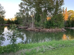 Our Pond with Island in the middle.
