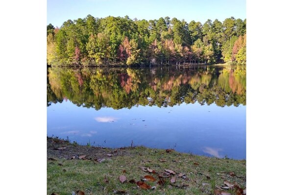 View just outside the doors in fall... I am blessed!