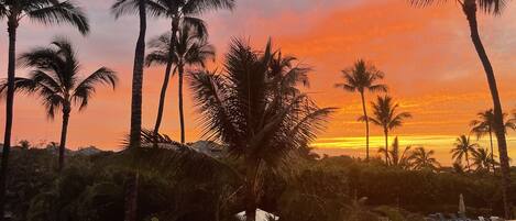 Gorgeous sunset on the lanai.