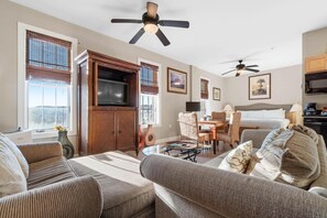 Living area with sleeper sofa