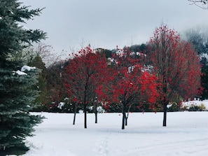 Snow and ski sports