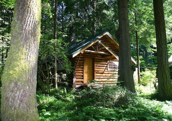 Log Cabin Exterior