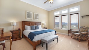 Master Bedroom complete with Tv, desk area, a large closet and attached bath.