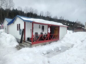 2 BR cabin, newly remodeled with mini split for heat and ac.