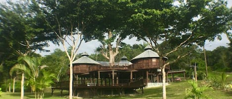 The Treehouse in the Cayo District of Belize, steps away from the Mopan River.