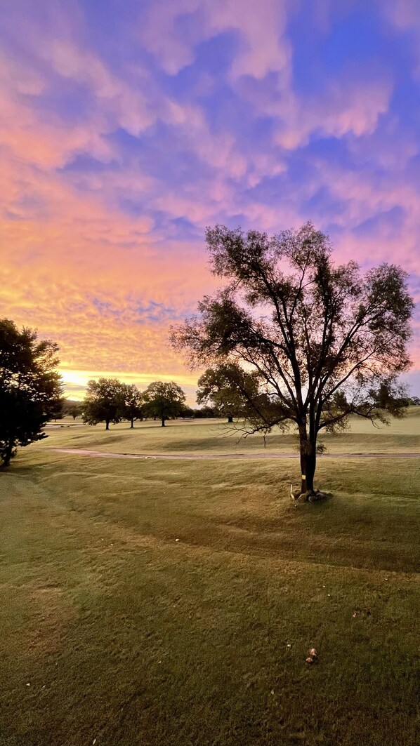 Sunrise from the back patio