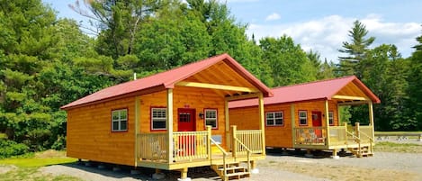 Cabin with 2 queen beds &amp; full size futon