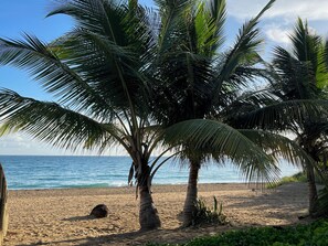 Ocean Park Beach