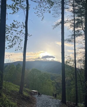 Fire pit and picnic table - sunset -  large accessible yard