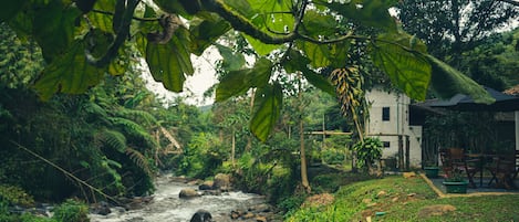 Jardines del alojamiento