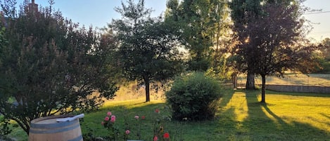 Vue du jardin depuis la terrasse