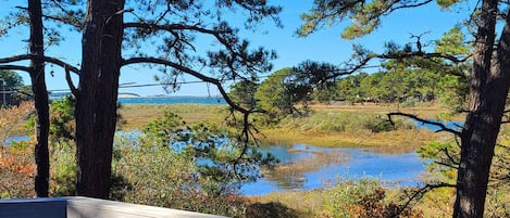 Lovely views of Wellfleet Harbor from the second floor deck