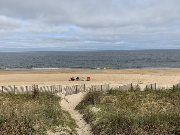Beach, Coast, Nature, Outdoors, Sea