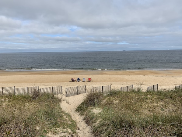Beach, Coast, Nature, Outdoors, Sea