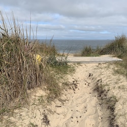 Grass, Outdoors, Nature, Beach, Coast