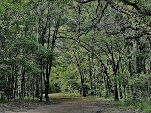 Little Elm Parks & best trails in Little Elm nearby.