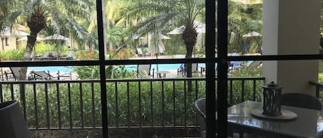 View of pool from inside condo