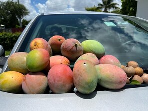 Alimentação e bebidas