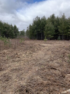 Terrain de l’hébergement 