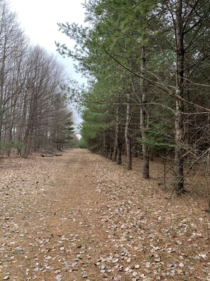 Terrain de l’hébergement 