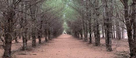 Terrenos do alojamento