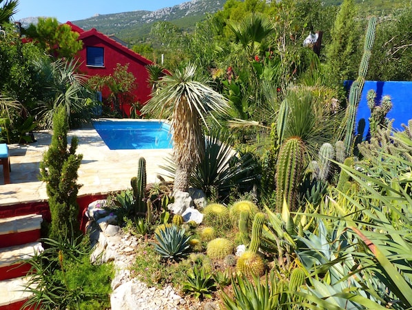 Private exotic garden with pool