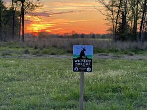 Registered Wildlife Preserve