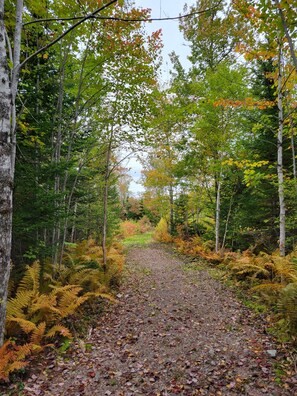 Boendeområde