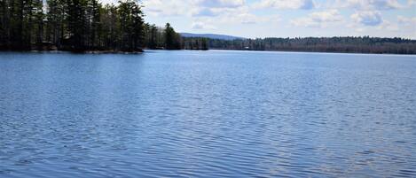 Beautiful Chemo Pond