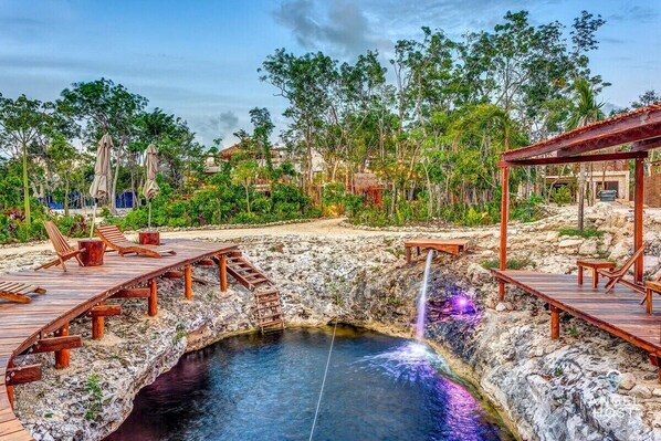 Cenotes are very unique to the Riviera Maya area