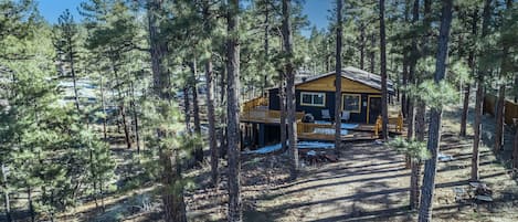Enjoy our beautiful cabin in the pines!