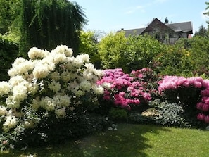 Jardines del alojamiento