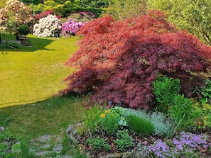 Jardines del alojamiento