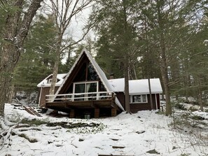 Wintertime looking up!
