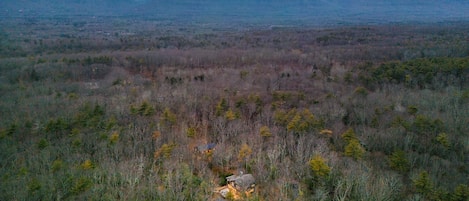 Enjoy your private 10+ acres in the Catskills. Both the Farmhouse and Cabin are close enough to commune yet privately situated.