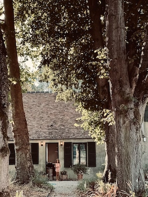 Entry pathway to the home between the 100 year old trees