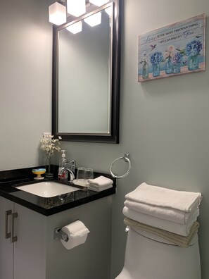 Bathroom 2 with Kohler sink, faucet, mirror and light, towels, soap, etc