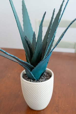 Détail de l’intérieur