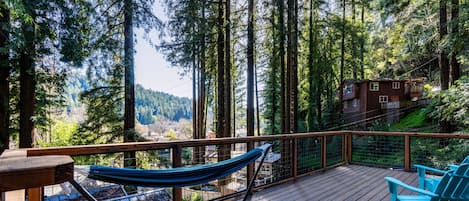 Unfold the hammock and take a nap under the gorgeous redwoods.