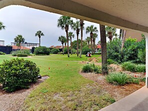 Patio Views