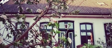 Frühling Frontansicht Haus 