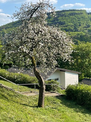 Boendeområde