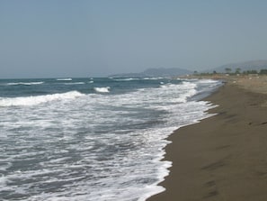 Ada Bojana Beach