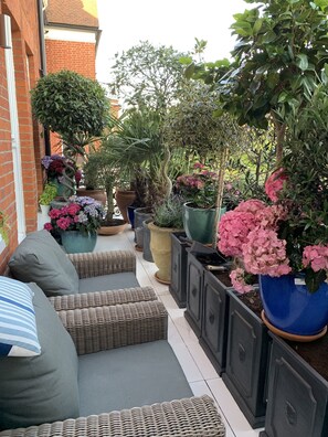 Terrass/Patio