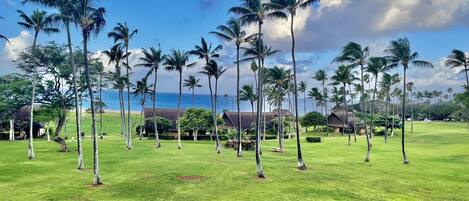 View from our lanai over Kepuhi Beach and Resort. Feb. 2023