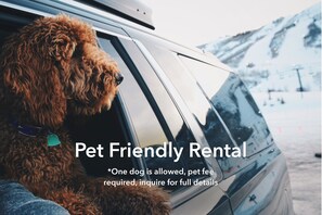 Pet Friendly Rental