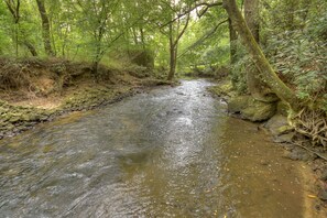Cozy Creek - Fighting Town Creek - Blue Ridge