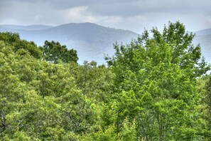 Fireside Lodge - The views just can't get much better than these at this Pet Friendly North Georgia Cabin Rental